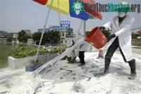 Ảnh Trung Quốc đẩy mạnh phòng chống dịch cúm gia cầm