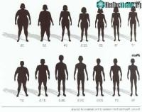 Ảnh BMI có phải là chỉ số đánh giá chính xác mức độ gầy hay béo của cơ thể?
