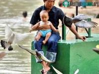Ảnh Một thiếu niên Indonesia nhiễm cúm gia cầm