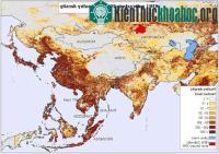 Ảnh FAO: H5N1 có thể gây ra hiệu ứng domino