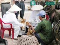 Ảnh Triển vọng mới chống đại dịch cúm gia cầm