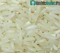 Ảnh Viêm cơ tim, phù thũng vì thiếu vitamin B1