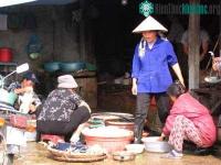 Ảnh Bộ Y tế cảnh báo: Có nguy cơ H5N1 biến chủng