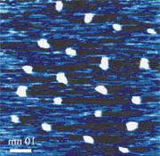 Ảnh Ích lợi của chất Prussian Blue trong việc lưu trữ thông tin ở cấp độ nguyên tử