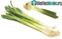 Ảnh Món ăn giải cảm