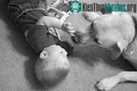 Ảnh Cảnh giác những bệnh lây truyền từ chó