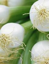 Ảnh Trị giun bằng hành ta