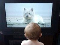 Ảnh Trẻ dưới 2 tuổi không nên xem TV