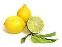 Ảnh Thuốc nam chữa viêm tắc thanh quản