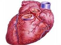 Ảnh Suy tim: Những điều cần biết
