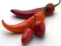 Ảnh Ớt có thể chữa ung thư tuyến tiền liệt