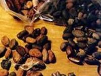Ảnh Cacao giúp giảm huyết áp