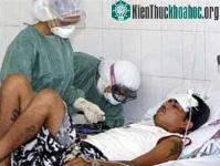 Ảnh WHO: lây nhiễm H5N1 có thể do tiếp xúc quá gần và quá lâu