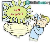 Ảnh Chữa mụn không cần thuốc