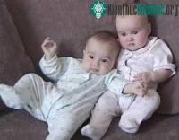 Ảnh Dùng nhiều axit folic dễ sinh đôi khi thụ tinh ống nghiệm