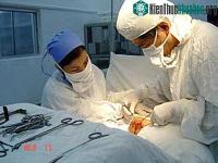 Ảnh Người có hai giới tính