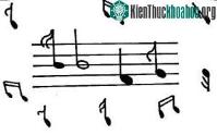 Ảnh Âm nhạc chữa lành bệnh tật