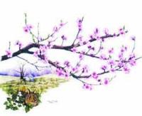 Ảnh Món ăn từ hoa đào