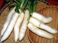 Ảnh Ăn củ cải chữa nhiều bệnh