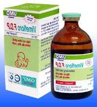 Ảnh Thuốc chữa bệnh khớp dễ làm hại dạ dày