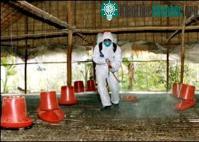 Ảnh Học bảo vệ môi trường trong mùa cúm