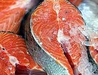Ảnh Chất ô nhiễm từ cá dầu có thể gây bệnh tiểu đường