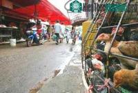 Ảnh Indonesia: khả năng cúm gia cầm lây từ người sang người