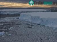 Ảnh Băng Nam Cực có thể đã bắt đầu tan do El Nino từ những năm 1940