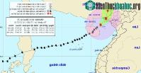 Ảnh Bão số 7 vào Quảng Ninh, Hà Nội đề phòng gió giật