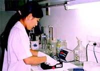 Ảnh Virus H5N1 đã có những đột biến gen độc tính cao