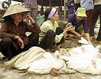 Ảnh Người dân thờ ơ, chính quyền buông lỏng