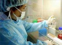 Ảnh Hy vọng bào chế nhanh vaccine cúm gia cầm