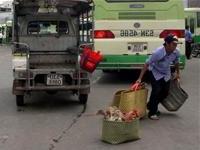 Ảnh Buôn gia cầm: vượt trạm quá dễ