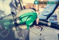 Ảnh Nghiên cứu mới giúp biến khí thải trở lại thành xăng dầu