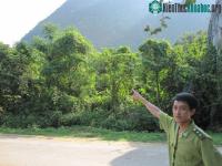 Ảnh Kì bí rắn khổng lồ bảo vệ rừng Phong Nha - Kẻ Bàng
