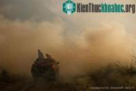 Ảnh Khói mù do đốt rừng ở Sumatra lại đe dọa Malaysia
