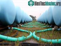 Ảnh Băng hóa nhà máy điện nguyên tử Fukushima