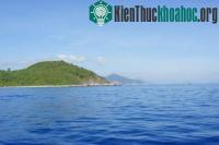 Ảnh Vì sao biển thường có màu xanh?