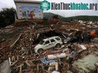Ảnh Trung Quốc sử dụng gà, cá, cóc để dự báo động đất