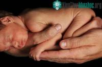 Ảnh Ô nhiễm không khí ở Bắc Kinh làm giảm cân nặng thai nhi