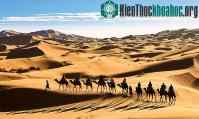 Ảnh Sa mạc nhiều... nước