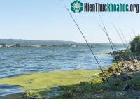 Ảnh Nước ngọt tại châu Âu bị ô nhiễm hóa học tệ hơn so với ước đoán