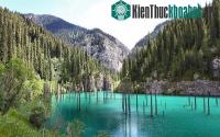 Ảnh Khu rừng dưới nước tuyệt đẹp ở Kazakhstan