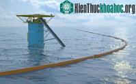 Ảnh Hệ thống dọn rác trên biển của cậu sinh viên 19 tuổi