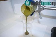 Ảnh Biến tảo thành dầu thô sinh học trong 60 phút