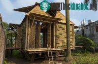 Ảnh Ngôi nhà tre sống chung với thiên tai ở Việt Nam