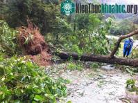 Ảnh Bão Haiyan đã ra khỏi Việt Nam, ít nhất 13 người chết