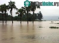 Ảnh Mưa lũ làm 4 người thương vong, thiệt hại 11 tỷ đồng