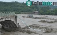 Ảnh Mưa bão lớn gây thiệt hại nặng nề tại Trung Quốc