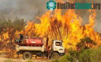 Ảnh Mexico đẩy mạnh công tác bảo vệ rừng mùa khô hạn